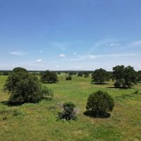 Back on Market 133.31 Acres Callahan County images 2