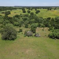 Back on Market 133.31 Acres Callahan County images 3