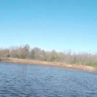 320 Acres Fewel Conservation Area for Turkey & Deer Hunting in Henry, MO images 4