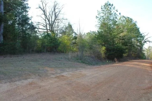 Walters Land Sale featured image