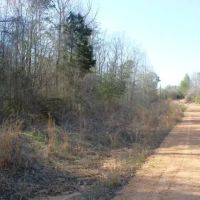 Walters Land Sale images 2