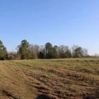 Walters Land Sale images 3