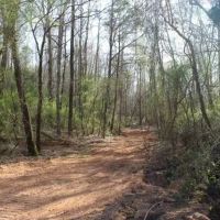 Walters Land Sale images 4