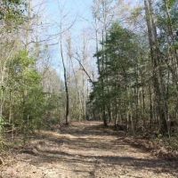 Walters Land Sale images 5