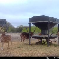 The Hunting Club at The Kasowski Ranch