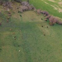 Cottonwood Creek Ranch images 3