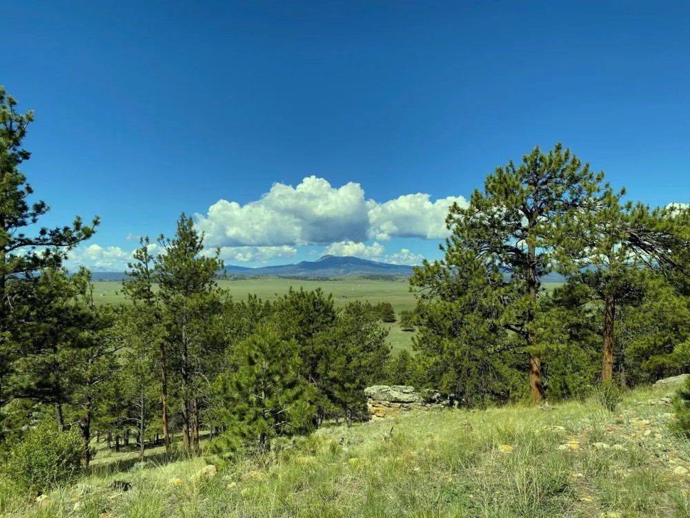 Tomahawk Ridge featured image