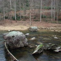 49 Acres Fiddlers Ford Access for Deer & Rabbit Hunting in Dade, MO images 3