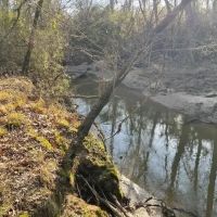 412 Acres in Rankin County on Woodrow Martin Road in Brandon MS