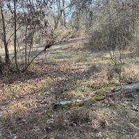 412 Acres in Rankin County on Woodrow Martin Road in Brandon MS images 3