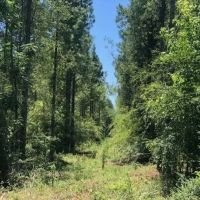 Investment Grade Property