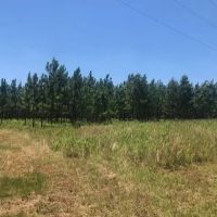 Investment Grade Property images 2