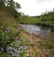 Fiery Fork CA 1609 Acres for Deer Hunting in Camden, MO images 6
