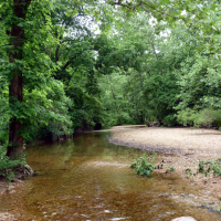 Fiery Fork CA 1609 Acres for Deer Hunting in Camden, MO images 5