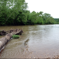Fiery Fork CA 1609 Acres for Deer Hunting in Camden, MO images 4