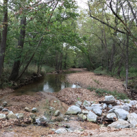 Fiery Fork CA 1609 Acres for Deer Hunting in Camden, MO images 3