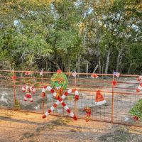 SUNSET HILL RANCH images 4