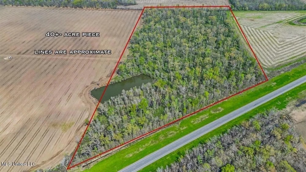 Small Hunting Property in Concordia Parish featured image