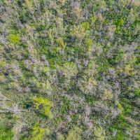 Small Hunting Property in Concordia Parish images 5