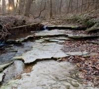 Flag Spring CA 4035 Acres for Duck Hunting in Barry, MO images 4