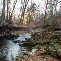 Flag Spring CA 4035 Acres for Duck Hunting in Barry, MO images 6