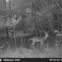 Image638618953782865900