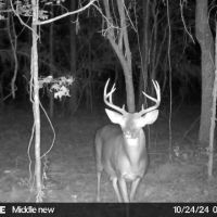 Family Friendly 1-2hrs from Houston