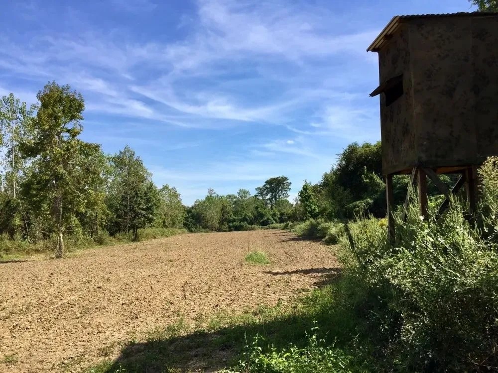Tombigbee River Upper State Game Sanctuary Tract featured image