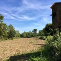 Tombigbee River Upper State Game Sanctuary Tract