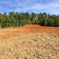 Tombigbee River Upper State Game Sanctuary Tract images 3