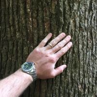 Tombigbee River Upper State Game Sanctuary Tract images 4
