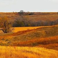 Farm for Sale in Franklin County Nebraska
