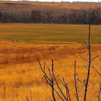 Farm for Sale in Franklin County Nebraska images 2