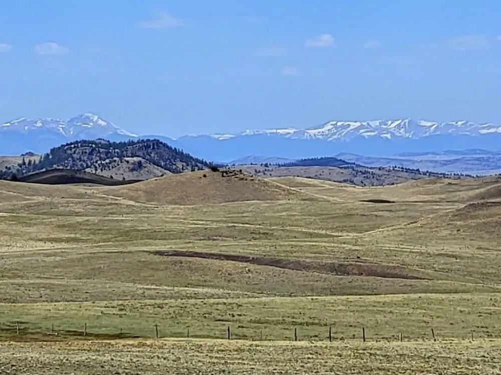 Meacham Ranch featured image