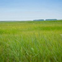 The Dillon Ranch images 3
