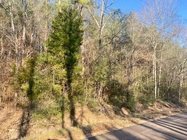 32.5 acres Walthall Co. featured image