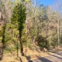 32.5 acres Walthall Co.