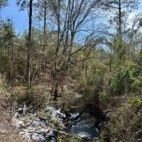 32.5 acres Walthall Co. images 2