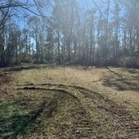 32.5 acres Walthall Co. images 5