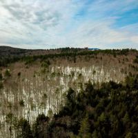 184 Schoolhouse Rd - Jamaica images 4