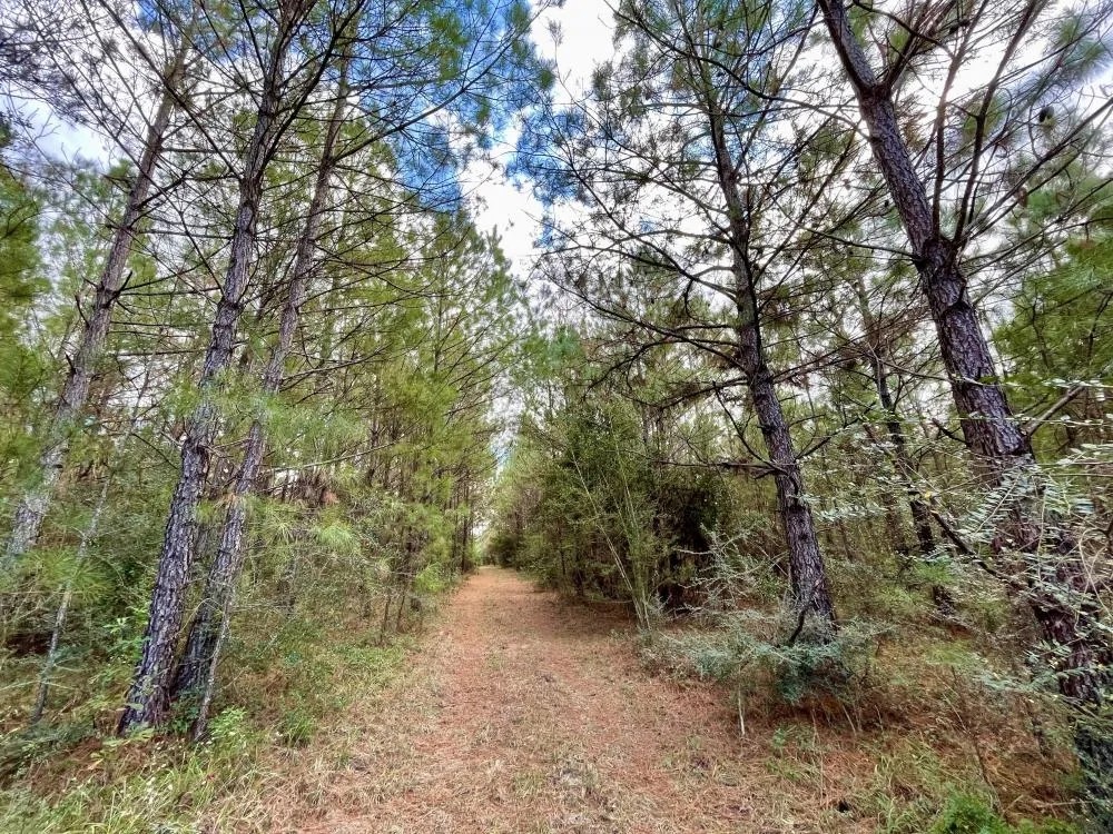 Daphne Belforest Fish River Development Tract featured image