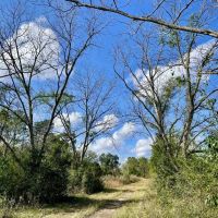Daphne Belforest Fish River Development Tract images 4