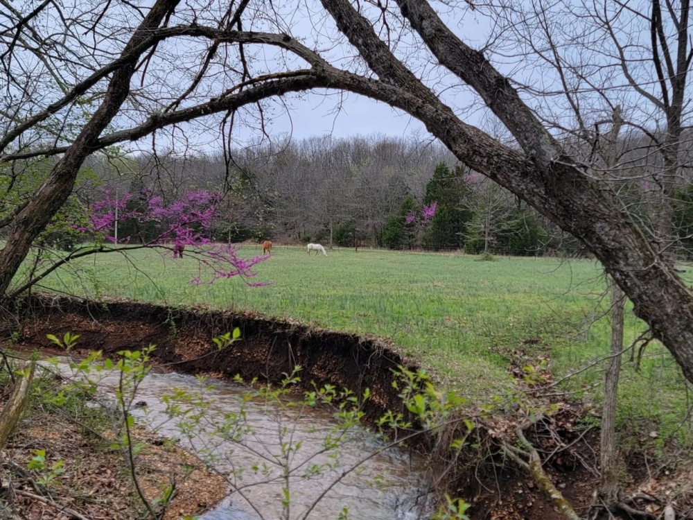 Home And Equestrian Facilities In A Private Picturesque Setting Near Springfield featured image