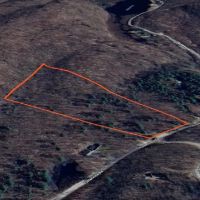 13 acres Upstate NY Hunting Land Pitcairn NY images 4