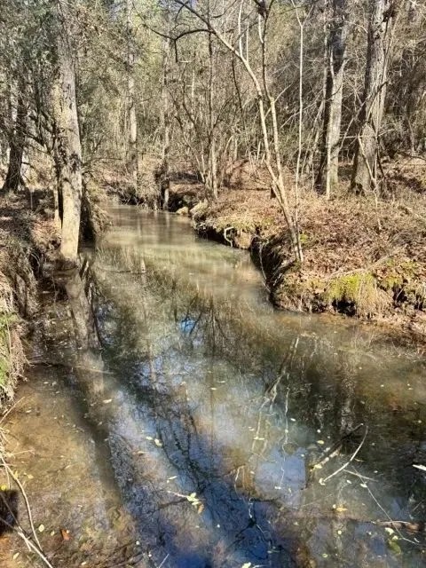 10 acres Walthall Co featured image