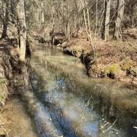 10 acres Walthall Co