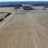 Town of Lewiston Columbia County WI 31 acres of tillable ag land images 4