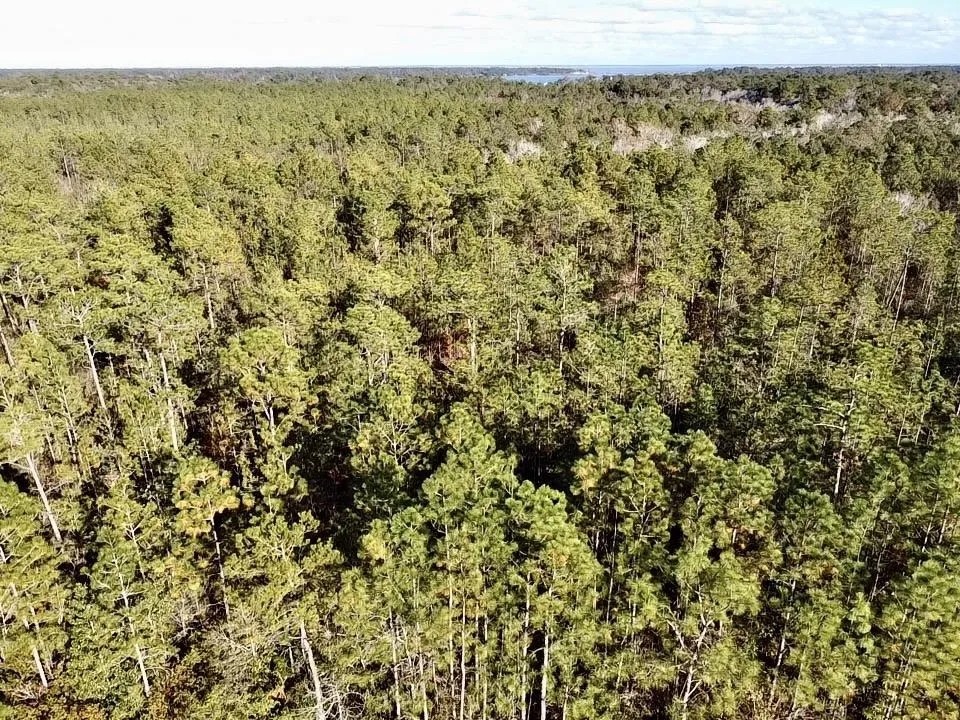Dog River Road Development Tract featured image