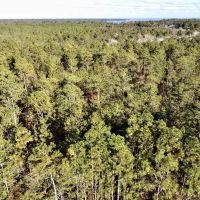 Dog River Road Development Tract