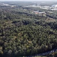 Dog River Road Development Tract images 2